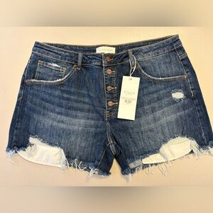 (NWT) Risen High-Rise Button Fly Denim Shorts – Distressed | 2XL